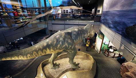 20 Best Dinosaur Exhibits In America 2024 .